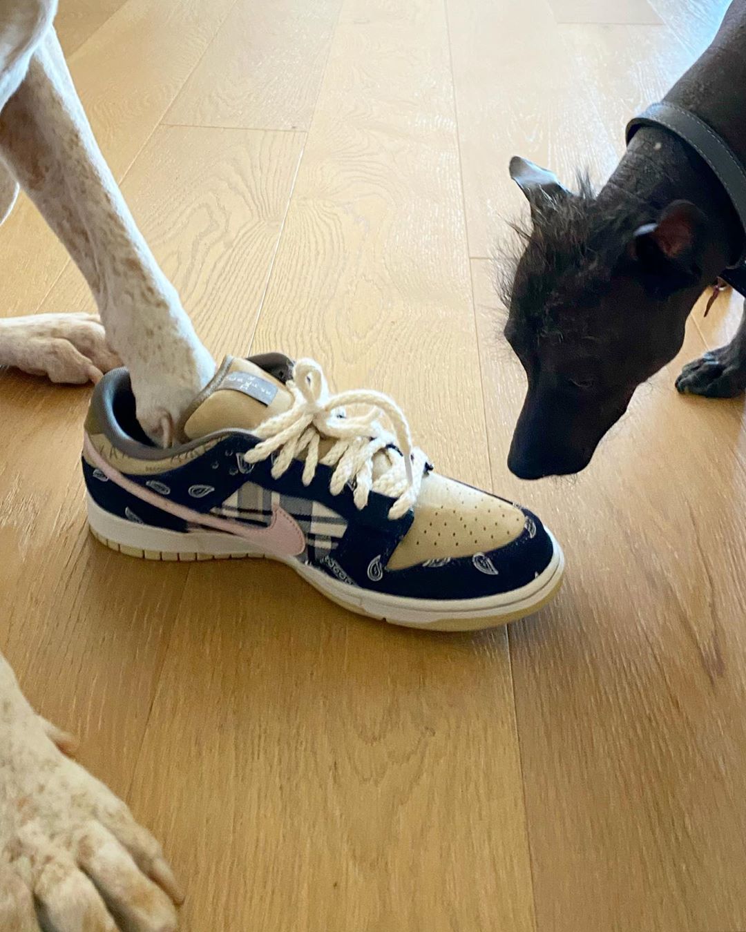 Travis Scott,Dunk SB,Nike,CT50 Dr.Woo 抢先晒上脚!超帅 TS x Dunk SB 居然让 TA 都欲罢不能! Travis Scott,Dunk SB,Nike,CT50 Dr.Woo 抢先晒上脚!超帅 TS x Dunk SB 居然让 TA 都欲罢不能!