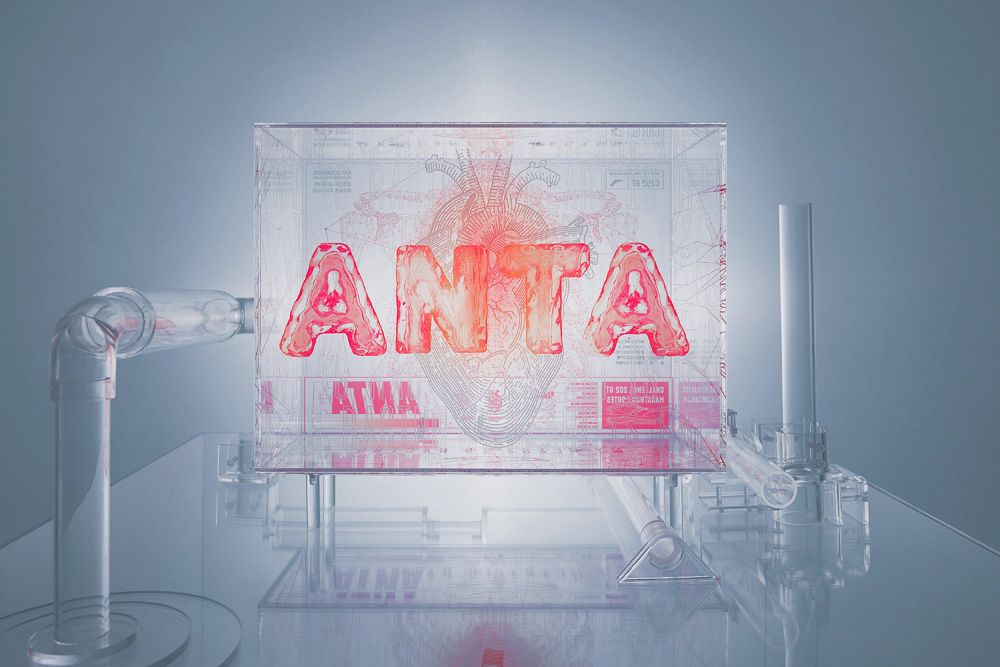 安踏,anta,C202 GT 限量 202 双!全掌碳板 + 双密度缓震!最新「顶级跑鞋」今天不到千元就能买! 安踏,anta,C202 GT 限量 202 双!全掌碳板 + 双密度缓震!最新「顶级跑鞋」今天不到千元就能买!