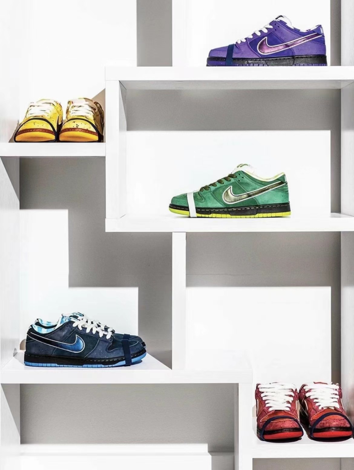 Concepts x Nike,SB Dunk Low,O 「橙龙虾」Dunk SB 最新实物图来了!网友:这是真龙虾啊! Concepts x Nike,SB Dunk Low,O 「橙龙虾」Dunk SB 最新实物图来了!网友:这是真龙虾啊!