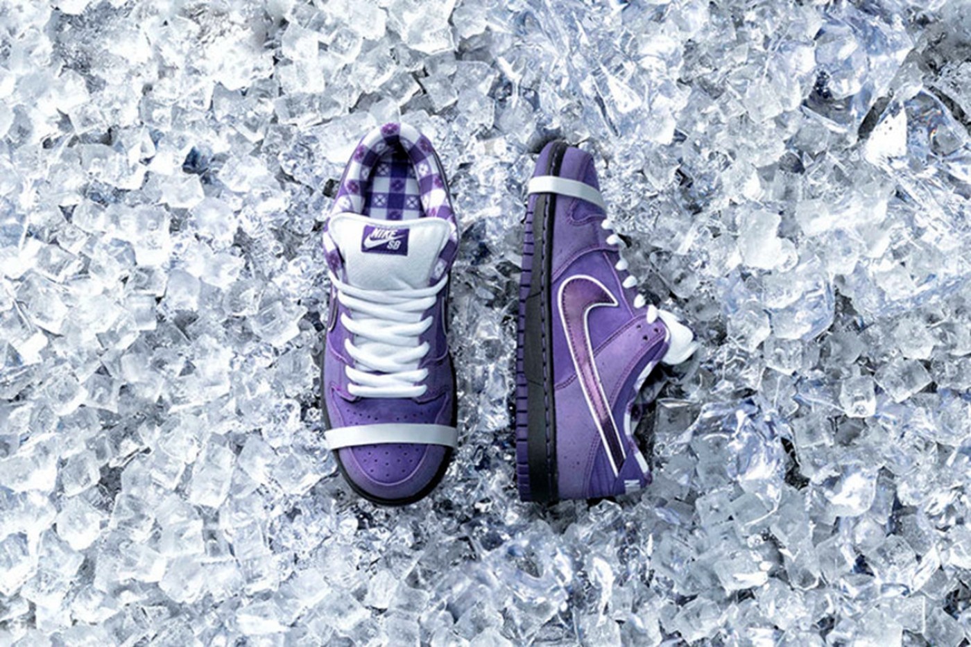 Concepts,Nike,SB Dunk Low,Oran 市价不便宜!「橙龙虾」Dunk SB 上架 SNKRS! Concepts,Nike,SB Dunk Low,Oran 市价不便宜!「橙龙虾」Dunk SB 上架 SNKRS!