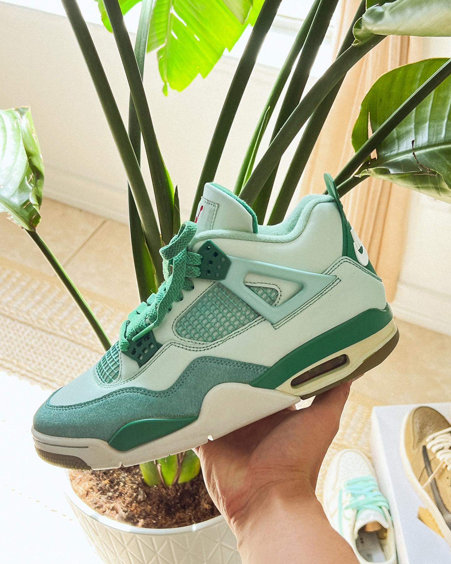 Air Jordan 4 「宝可梦」AJ 又来了!这次是人气超高的蒜头王八! Air Jordan 4 「宝可梦」AJ 又来了!这次是人气超高的蒜头王八!