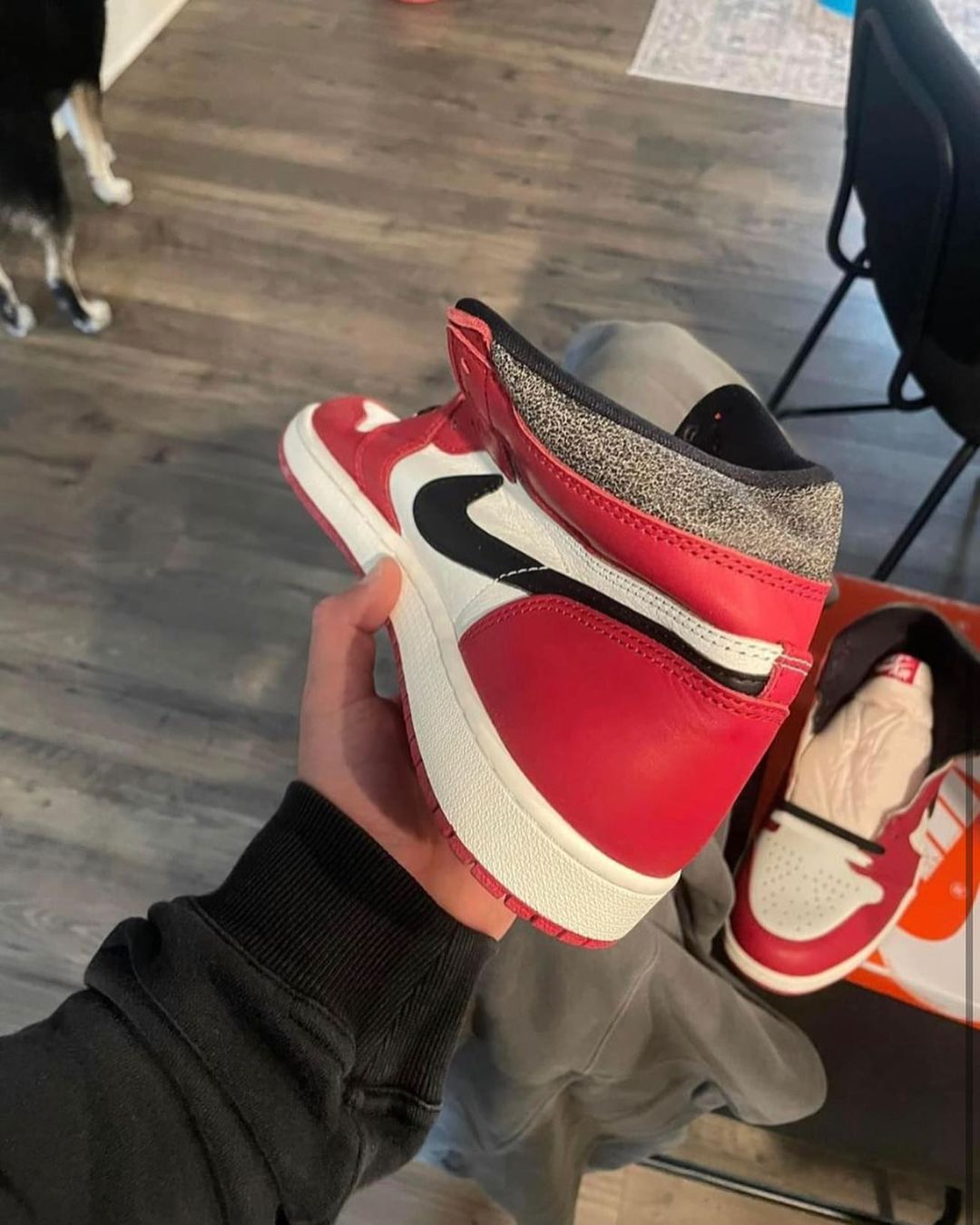 芝加哥,AJ1,AJ,Air Jordan 1 鞋圈「倒霉蛋」+1!刚到手的芝加哥 AJ1 长毛了... 芝加哥,AJ1,AJ,Air Jordan 1 鞋圈「倒霉蛋」+1!刚到手的芝加哥 AJ1 长毛了...