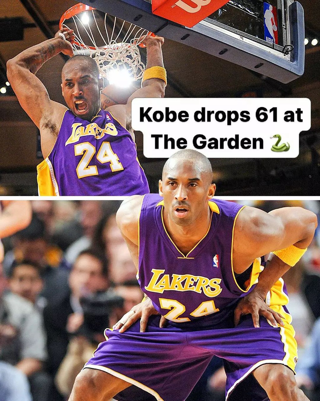 NBA,詹姆斯,德罗赞,东契奇,库里,UA,Nike,Air NBA 球鞋合集!詹姆斯上脚「天价神鞋」! NBA,詹姆斯,德罗赞,东契奇,库里,UA,Nike,Air NBA 球鞋合集!詹姆斯上脚「天价神鞋」!