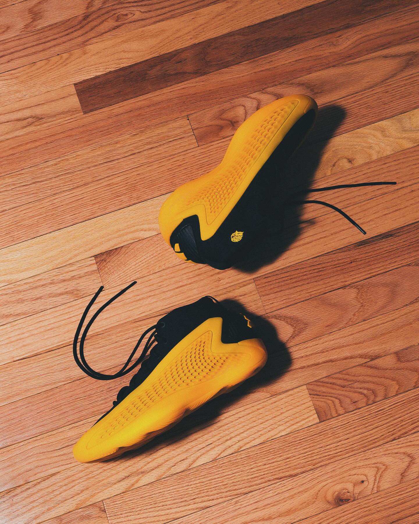 adidas Basketball 全是大学 PE 配色!adidas 战靴集体曝光! adidas Basketball 全是大学 PE 配色!adidas 战靴集体曝光!