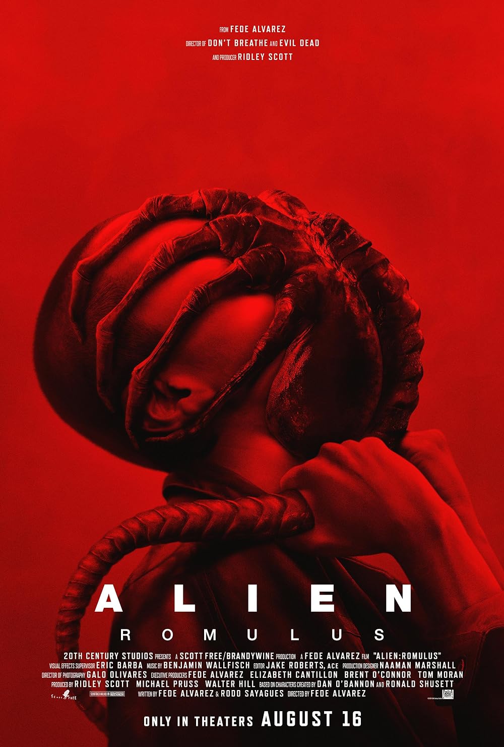 Reebok,BB 4000 II Mid,Alien Ro 最新《异形》电影周五上映!联名鞋来了! Reebok,BB 4000 II Mid,Alien Ro 最新《异形》电影周五上映!联名鞋来了!