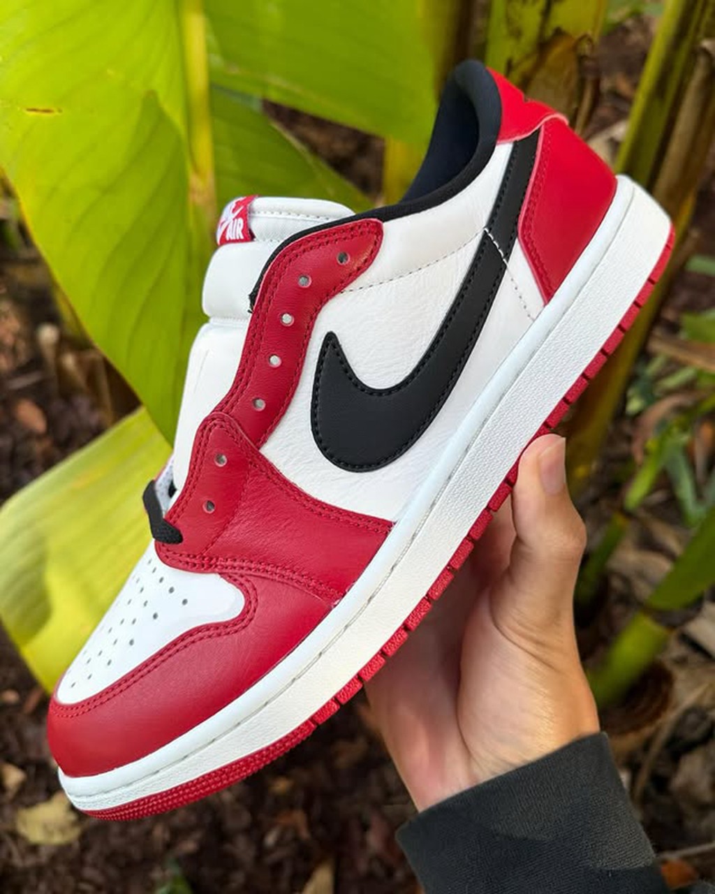 Air Jordan 1 Low OG,Chicago,HQ  芝加哥 AJ1 Low 又有新实物!质感真不错! Air Jordan 1 Low OG,Chicago,HQ  芝加哥 AJ1 Low 又有新实物!质感真不错!
