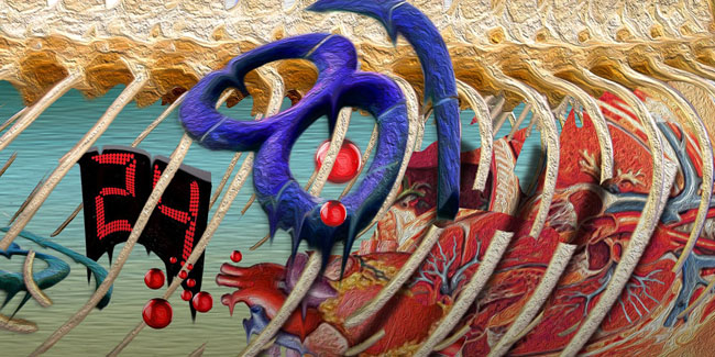 Nike,正式,发布,Kobe,Prelude,Pack,随  Nike 正式发布 Kobe Prelude Pack