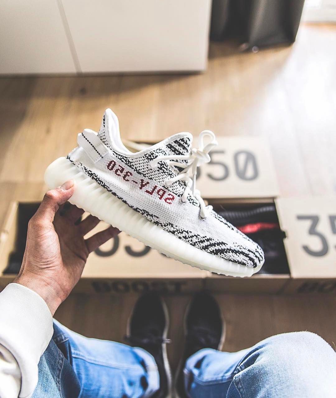 CP9654,Yeezy 350 Boost,Yeezy 3 CP9654 小狗都能穿两双白斑马 Yeezy！你有何感想？