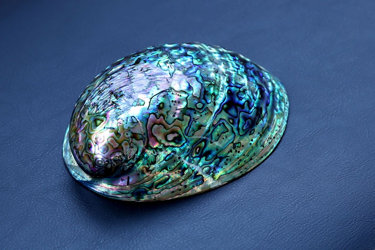 Nike,Air Foamposite one,575420  将鲍鱼穿在脚上？Air Foamposite One “Abalone” 全新设计曝光