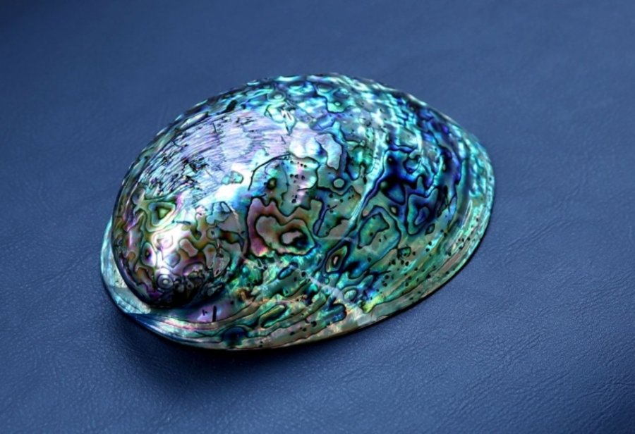 Nike,Air Foamposite One,575420  鲍鱼实物亮相！传言 Foamposite One “Abalone” 全明星周末发售