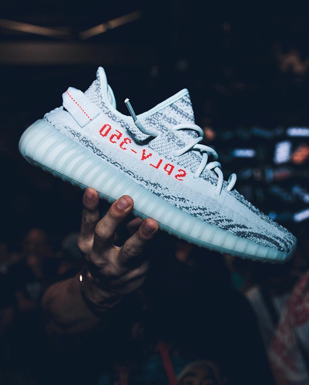 adidas,Yeezy Boost 350 V2  货量不小！蓝斑马 Yeezy 350 Boost V2 美国发售店铺图释出！