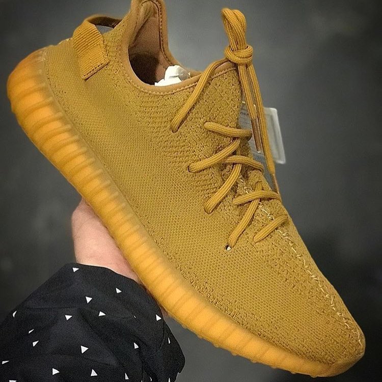 adidas,Yeezy Boost 350 V2  小麦色 Yeezy 350 Boost V2！全新配色曝光你觉得如何？