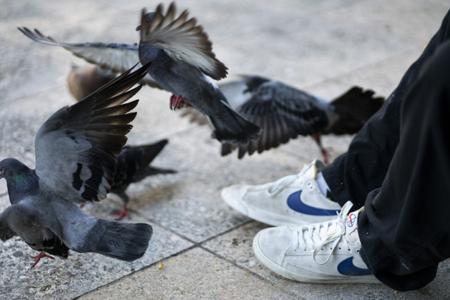Blazer,Nike,SB,发售,FOSS  滑板联名 Blazer 国内预约信息来了！你还有机会以旧换新！