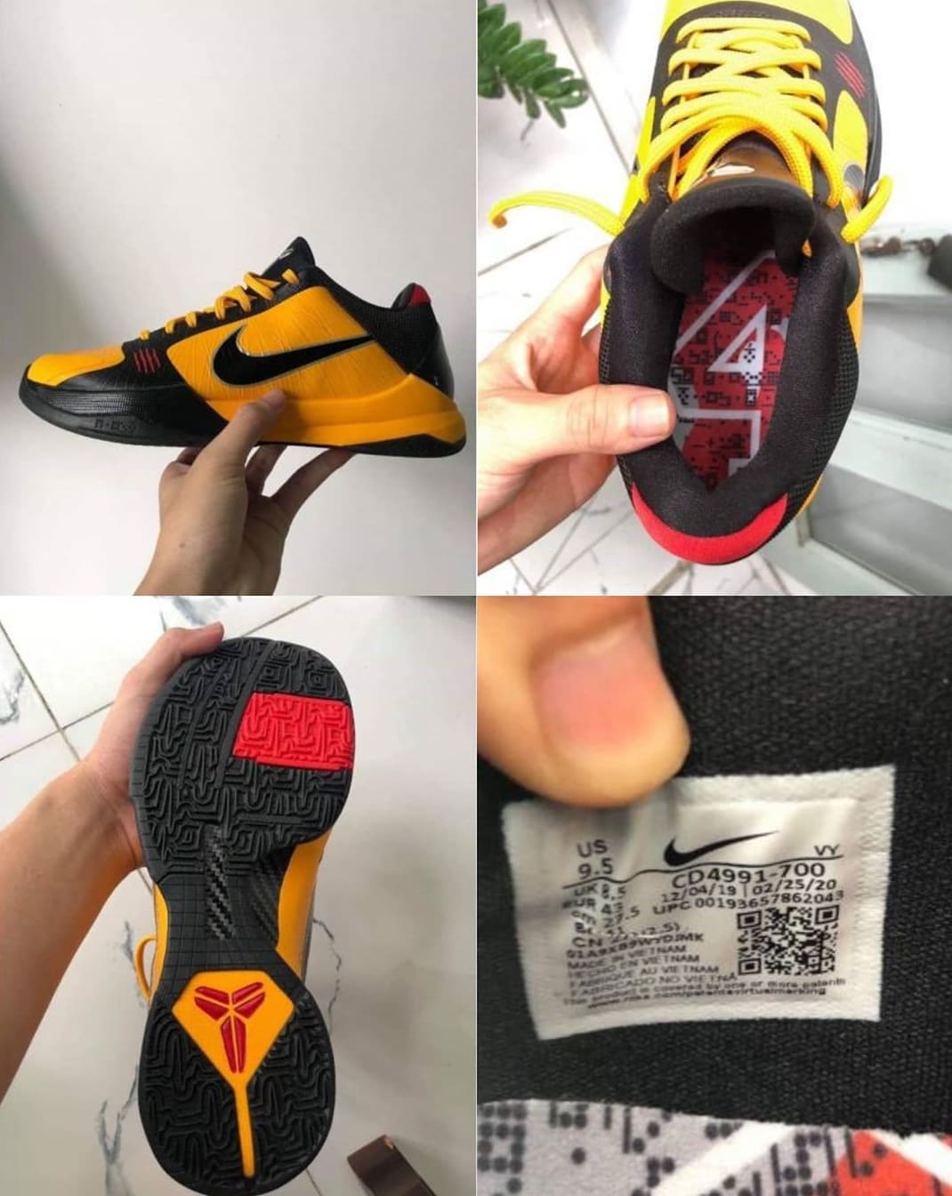 Nike,Kobe 5 Protro,Bruce Lee,C  终于等到了！李小龙配色 Kobe 5 今夏发售！