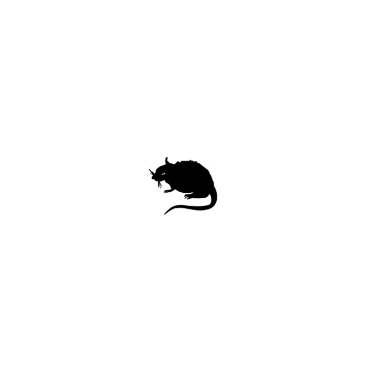 Vans,Stray Rats,Old School,Era  流浪鼠主题！Vans x Stray Rats 新联名曝光，明天登场！