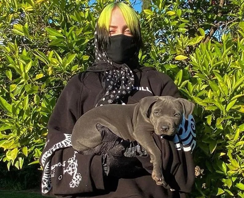 明星,billie  碧梨 5w 球鞋惨遭毒手！Dior x AJ1 都不放过！TA 下手也太狠了...