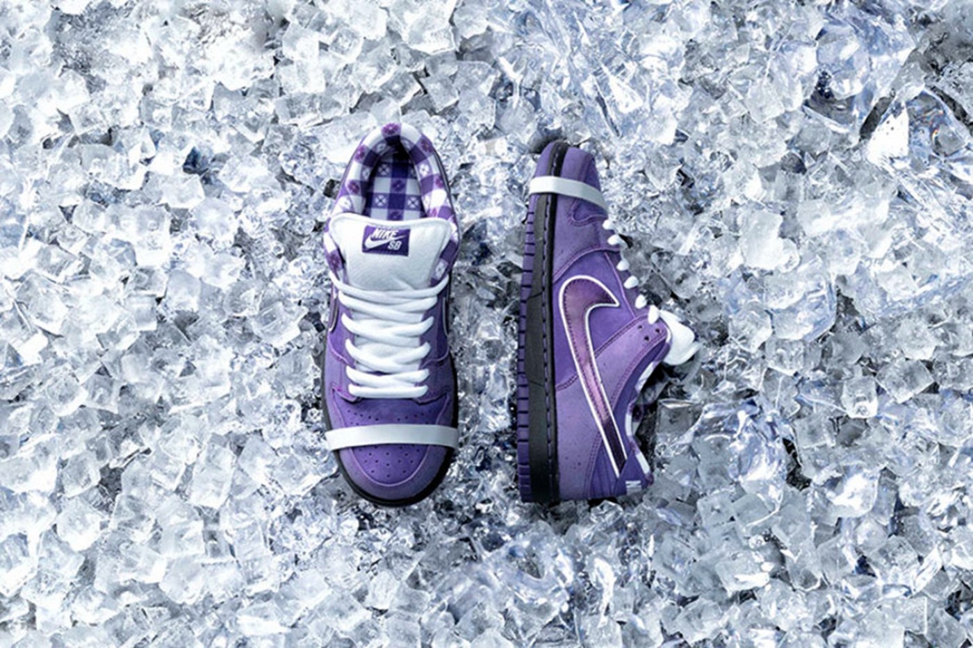 Nike,Concepts,Nike SB Dunk Low  龙虾回归！「熟龙虾」Dunk SB 首次曝光！