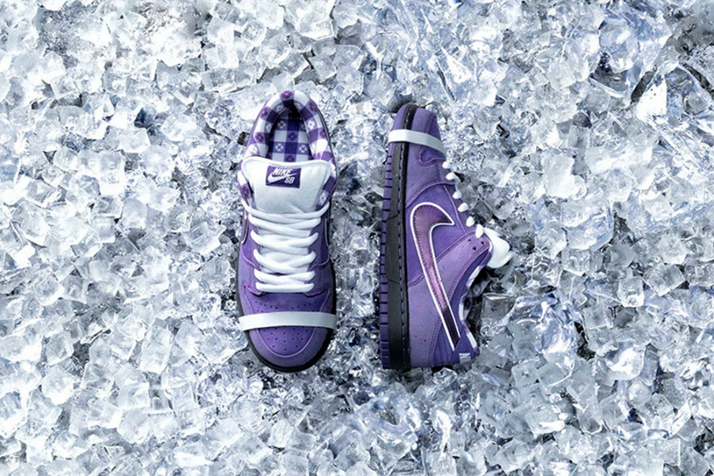 Concepts,Nike,SB Dunk Low,Oran  主理人亲晒！「橙龙虾」SB Dunk 上脚图曝光！
