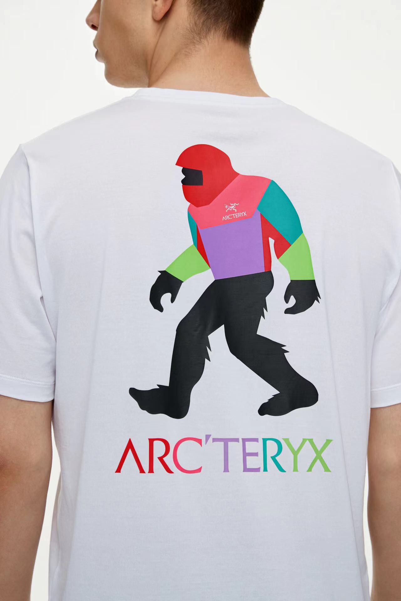 ARC’TERYX  「户外贵族」始祖鸟再破圈！大脚怪系列刚发售！
