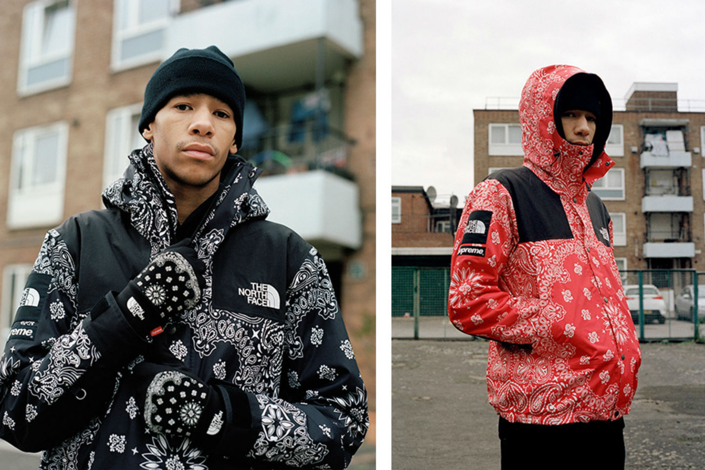 2022SS,TNF,Supreme  错过再等 8 年？Supreme x TNF「腰果花」发售日期曝光！