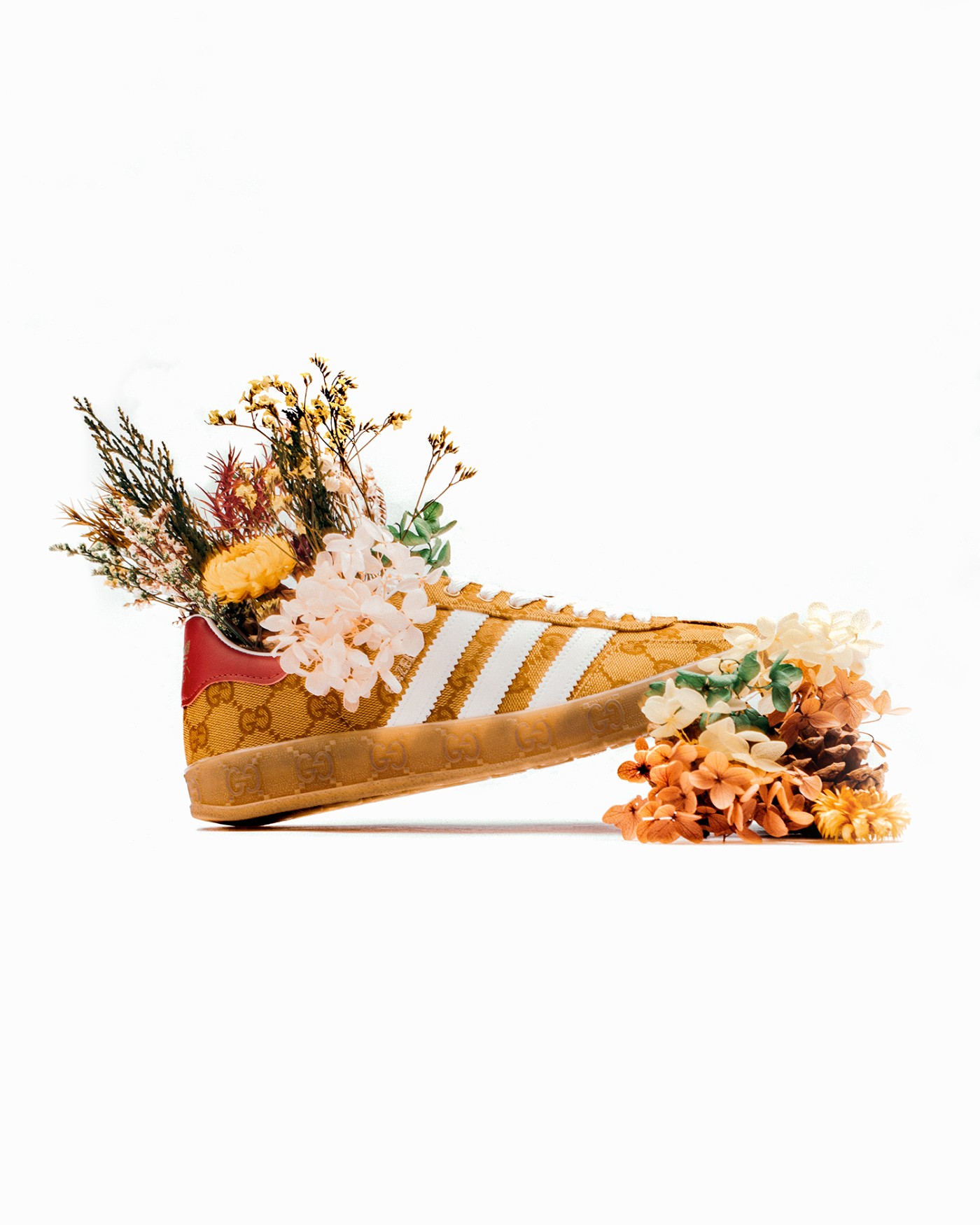adidas,Gucci,三叶草,Gazelle  市价近万元！Gucci x 三叶草联名明早 APP 发售！