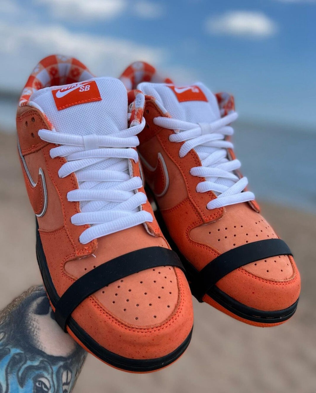 FD8776-800,Orange Lobster,SB D  每次超难抢！梦寐以求「龙虾」Dunk SB 要来了！