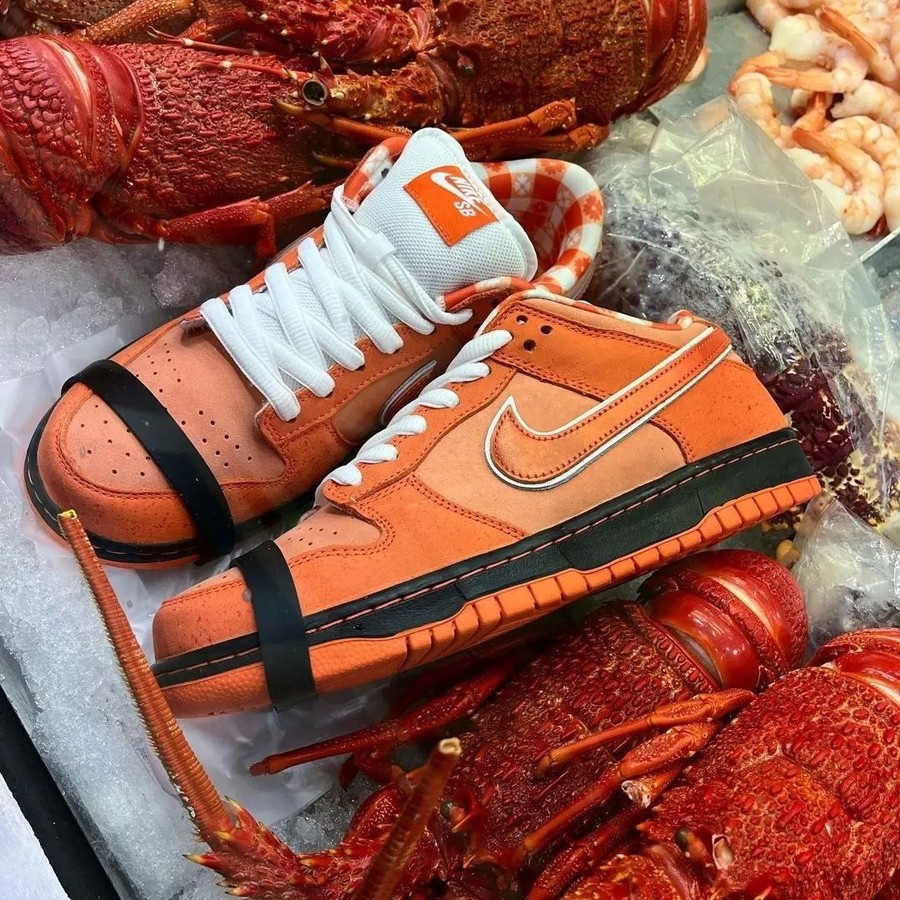 Concepts,Nike,SB Dunk Low,Whit  市场价 10w！「白龙虾」Dunk SB 最新实物泄露！可惜的是...