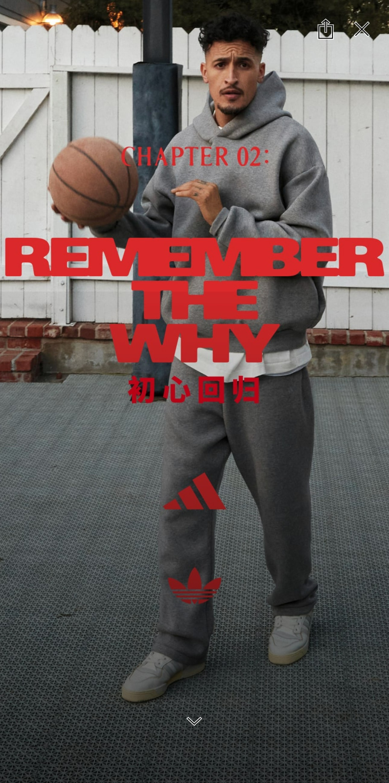 上次,秒,售罄,阿迪,CHAPTER,随时,突袭,去年,  后天拼手速！阿迪 CHAPTER 02 上架 APP！