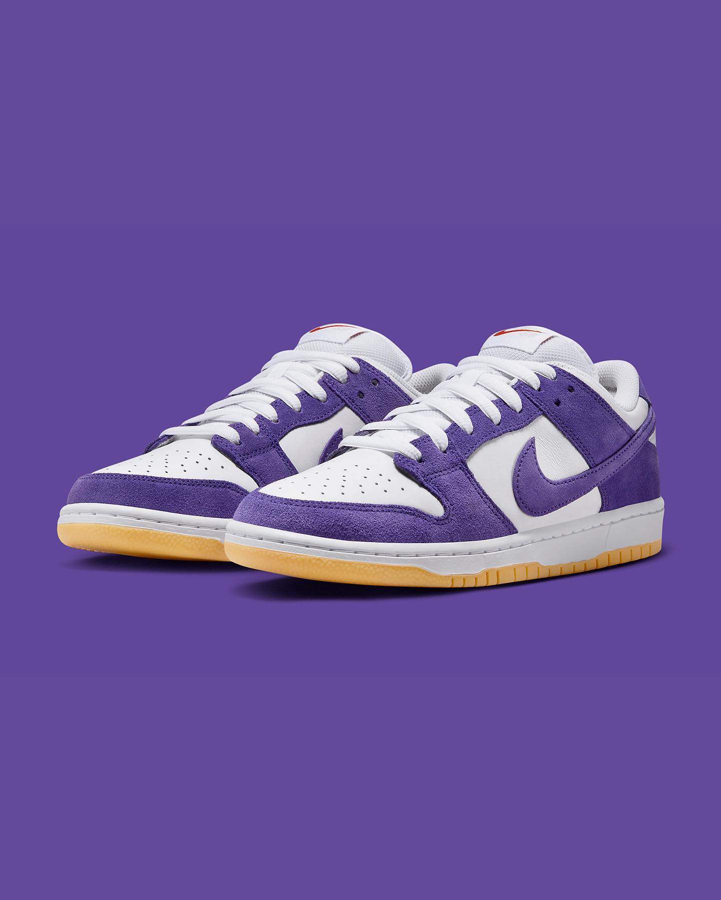 DV5464-500,Court Purple,Nike S  恶人紫回归！新配色 Nike SB Dunk 一眼种草！