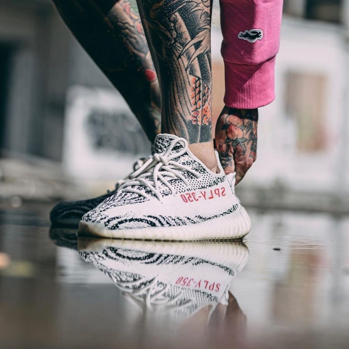 Yeezy,白斑马  速度冲！「白斑马」Yeezy 350 V2 上架登记！