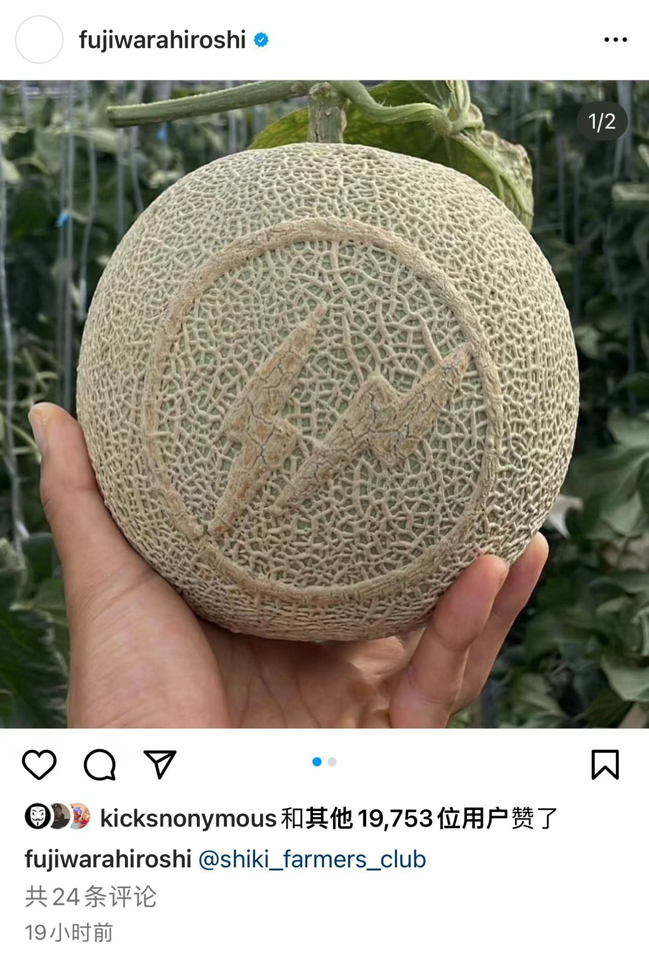 shiki_farmers_club,蜜瓜,藤原浩  藤原浩「大闪电联名」突发补货！几百块就能冲！