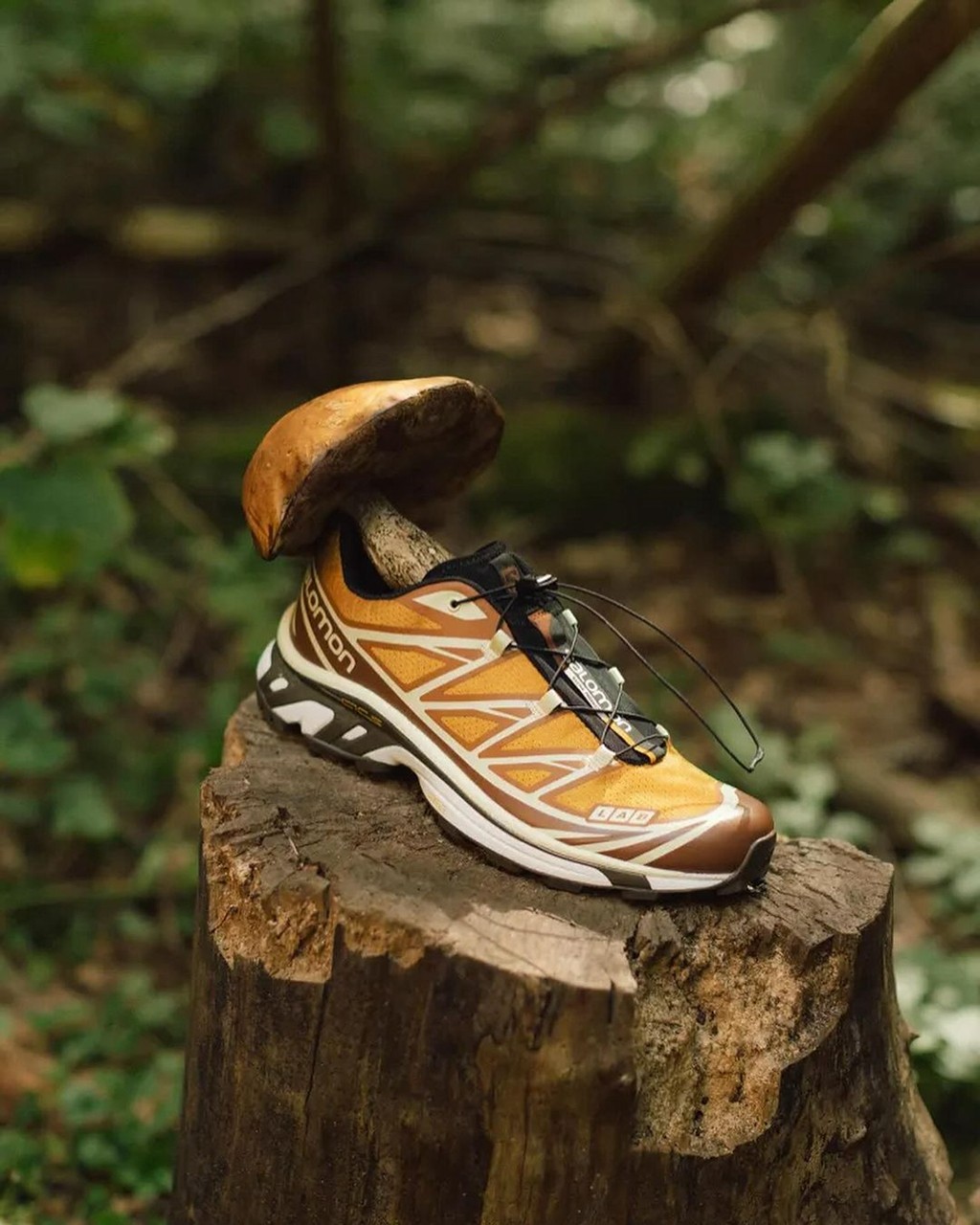 END.,Salomon,XT-6  “美拉德风” 单品 +1！Salomon 联名新鞋来了！