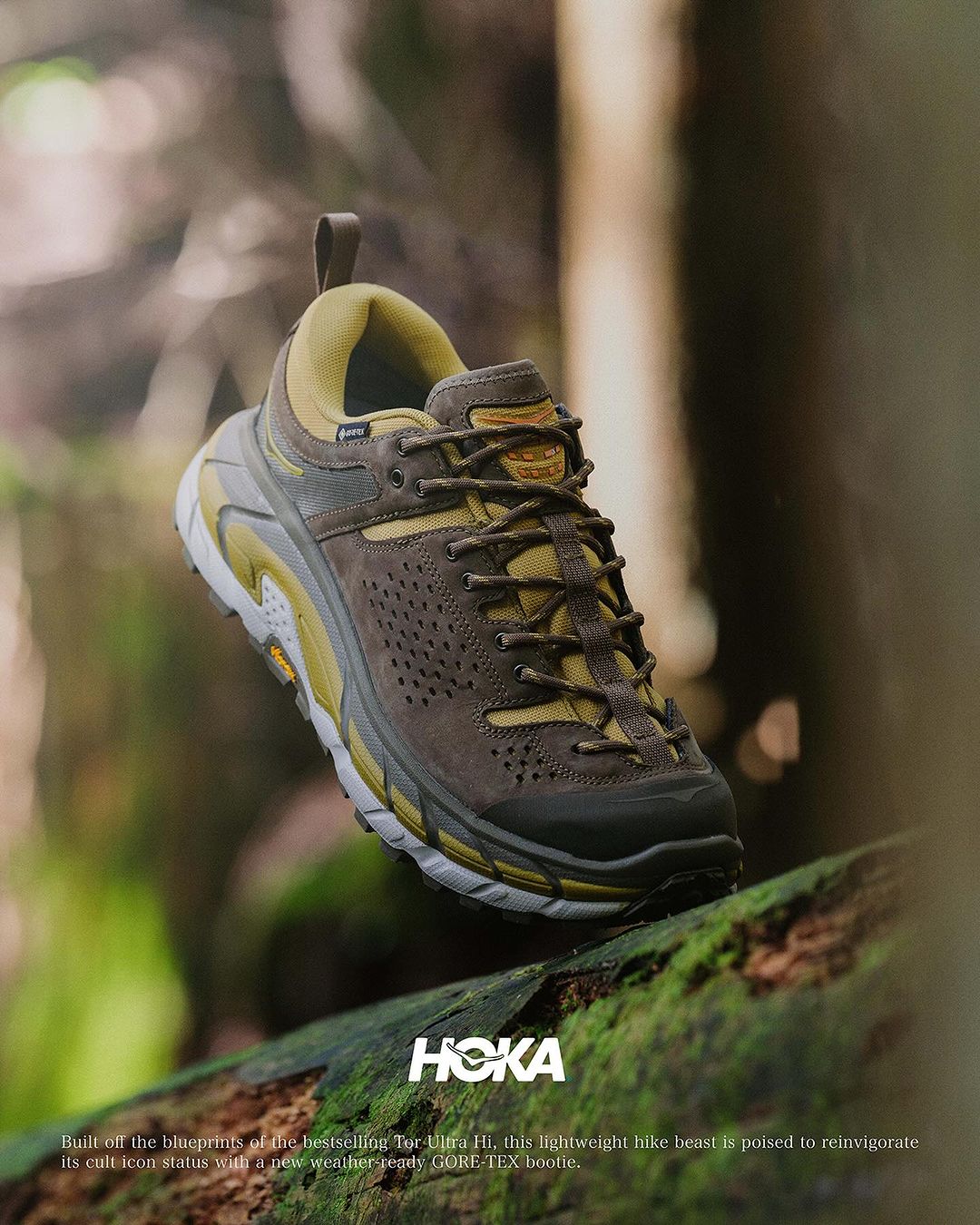 限定,款,HOKA,新鞋,曝光,还是,超火,鞋型,这,  限定款 HOKA 新鞋曝光！还是超火鞋型！