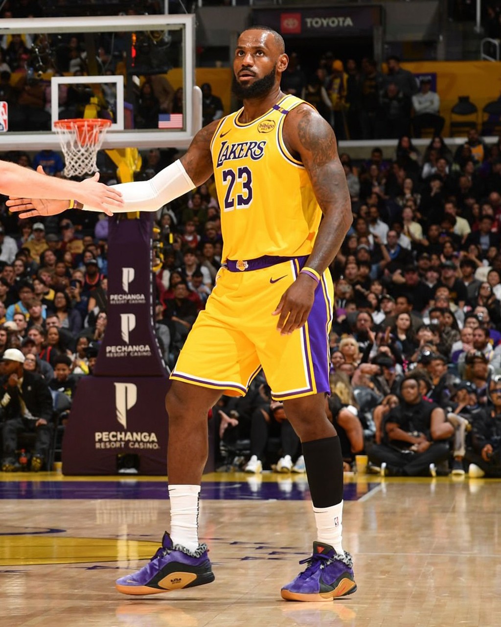 功夫熊猫,NBA,詹姆斯,LBJ22,浓眉  童年杀！詹姆斯上脚《功夫熊猫》x LBJ22！