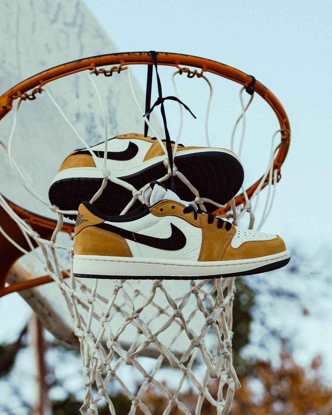 Rookie of the Year,Air Jordan  初代人气不低！「最佳新秀」AJ1 新版本要来了！