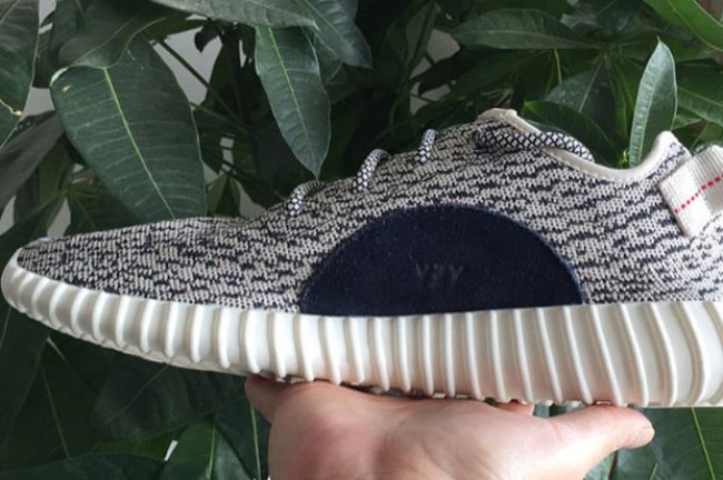adidas,Yeezy,350,Boost,Low,实物  adidas Yeezy 350 Boost Low 全新谍照